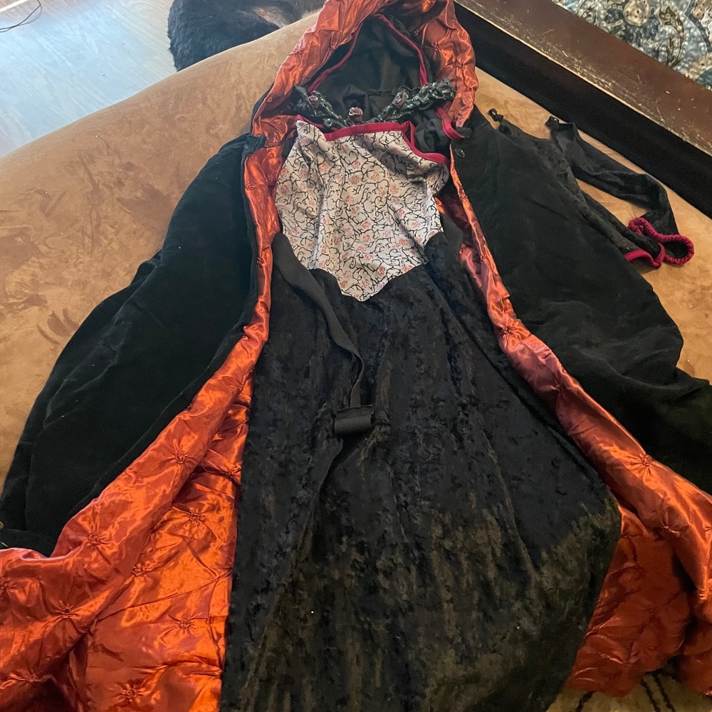 Dark maiden adult small Halloween costume